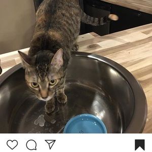 Meet your Posher, Melissa